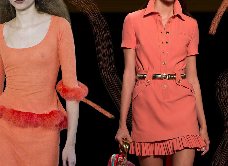 Living_Coral_Pantone_2019_color_of_the_year