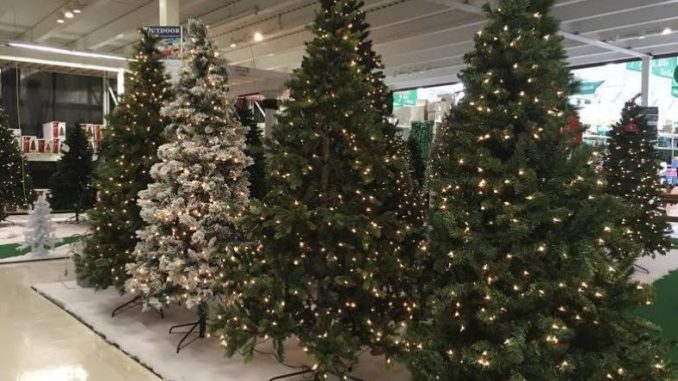 arboles de navidad