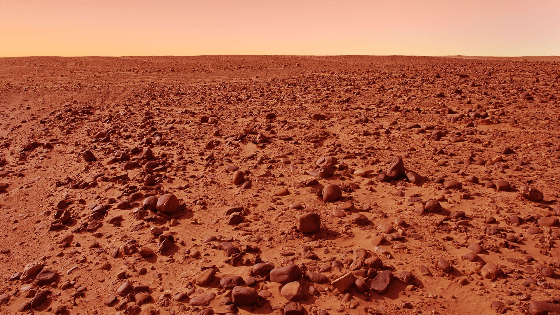 Quattro persone saranno intrappolate nello spazio che simula Marte come parte di una missione della NASA