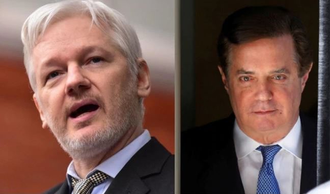 assange manafort