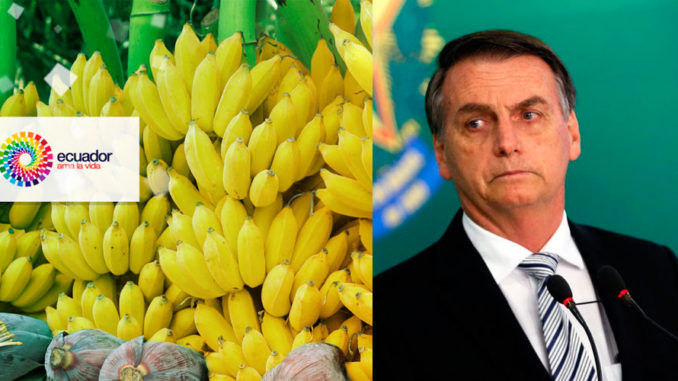 bananas