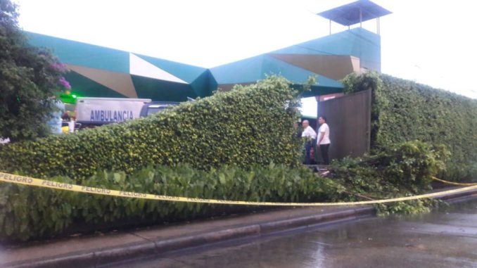 green house