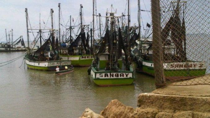 pesca de arrastre