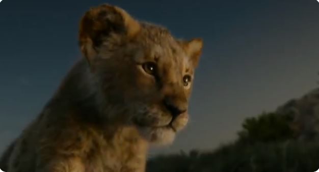 rey leon