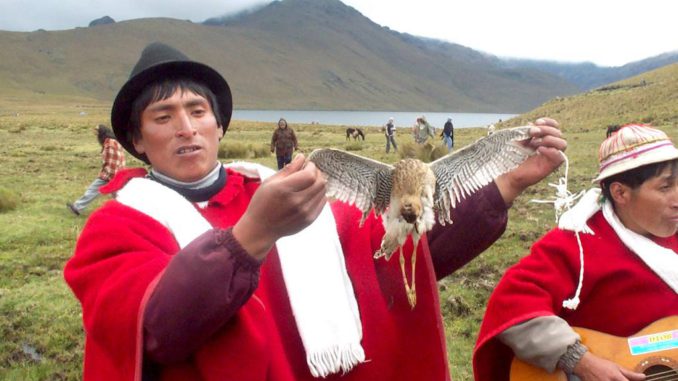 cuvivíes