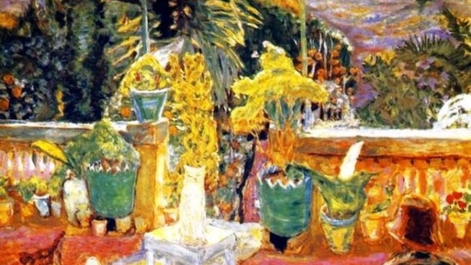 la terraza