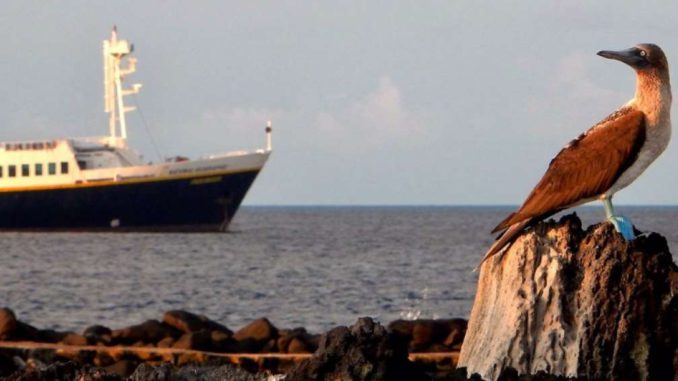 galapagos