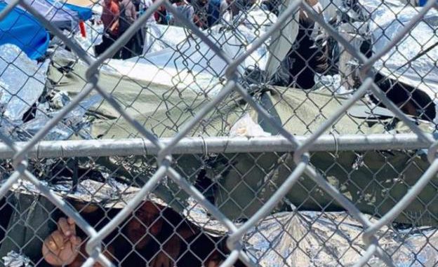 migrantes en jaulas