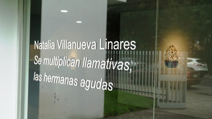 se multiplican llamativas las hermanas agudas