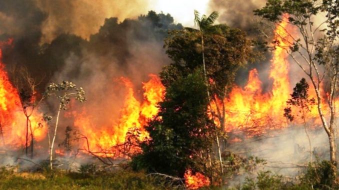amazonas-incendio-brasil-selva-fuego-agosto-2019