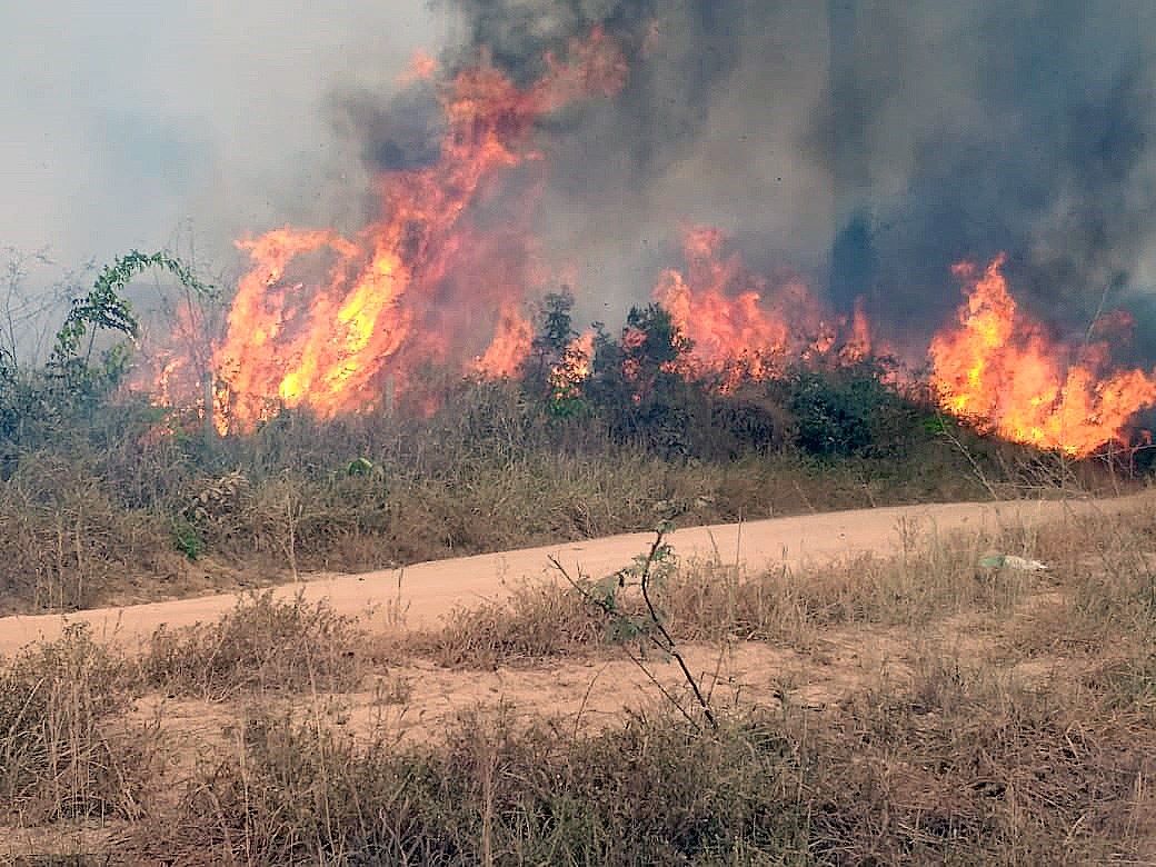 amazonia incendio