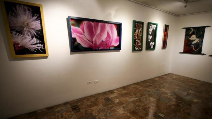 artistas salvar naturaleza