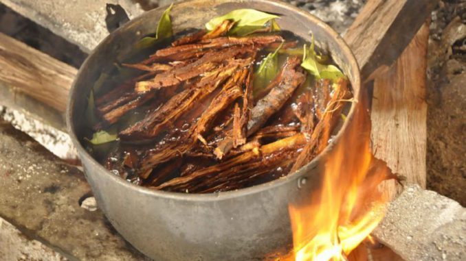 ayahuasca