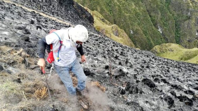 incendio controlado
