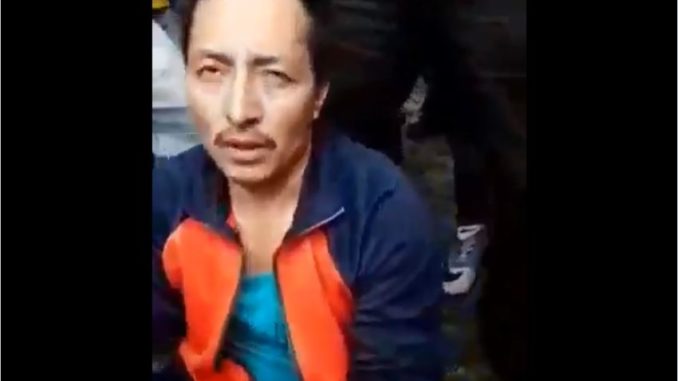 Guacho