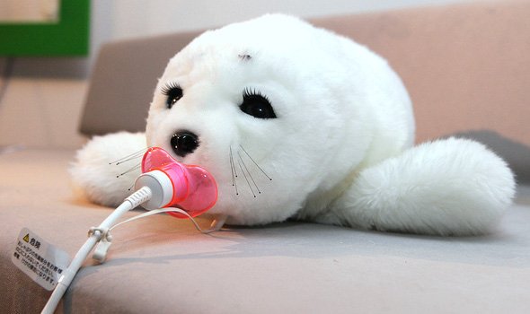 foca PARO