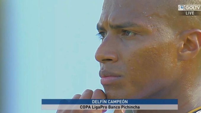 delfín campeón dos
