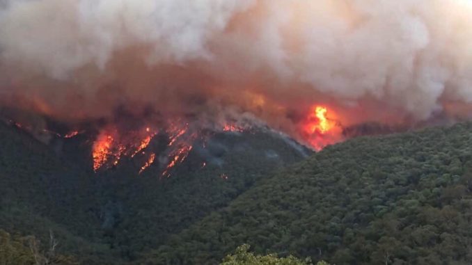 australia incendios