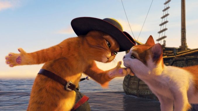 gato