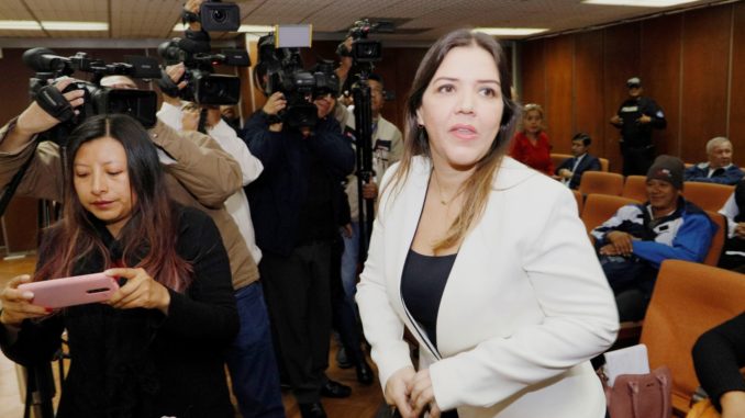vicuña 2020
