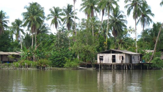 Rio Naja