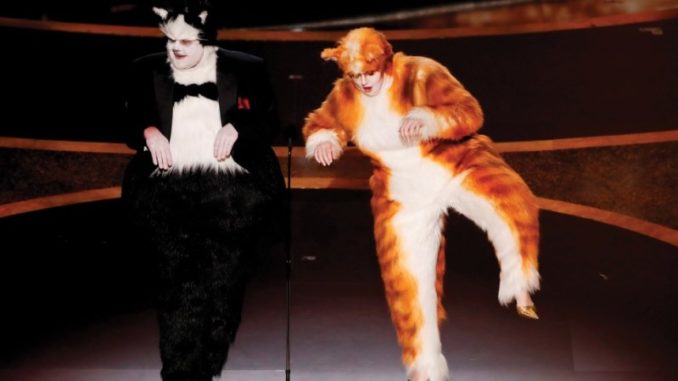 cats chiste premios oscar