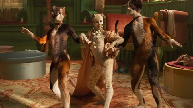 Cats