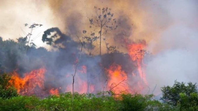 Incendio Honduras