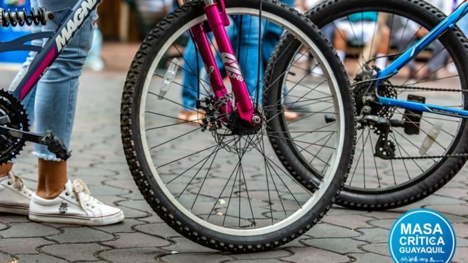 ruedas bicicleta MC 2019 (2)