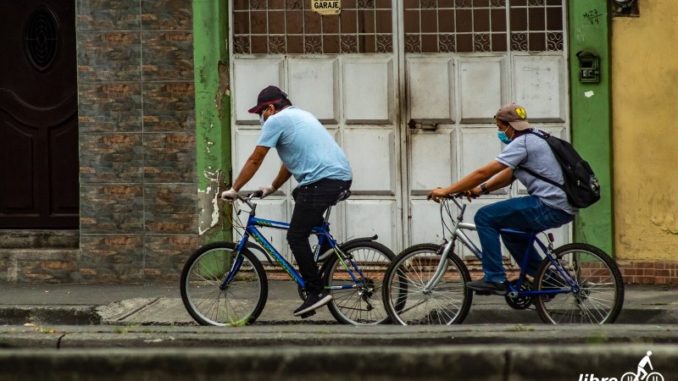 masa crutica movilidad