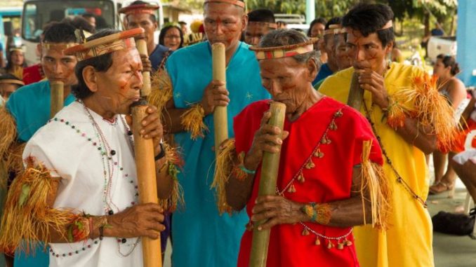 Siekopai