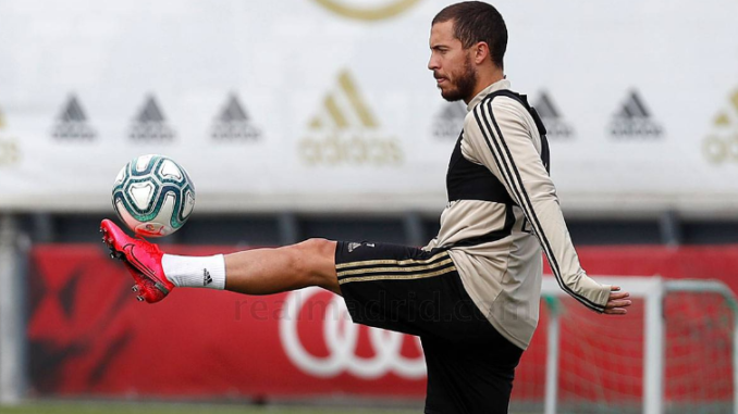 hazard back
