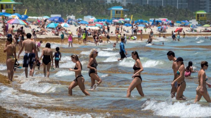 miami coronavirus junio