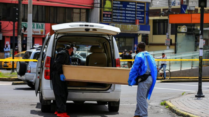 quito nueva ola