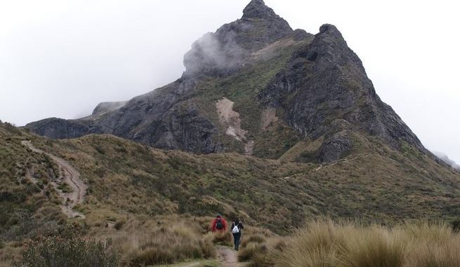 Rucu Pichincha_2