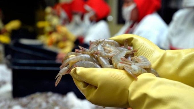 camarones ecuatorianos