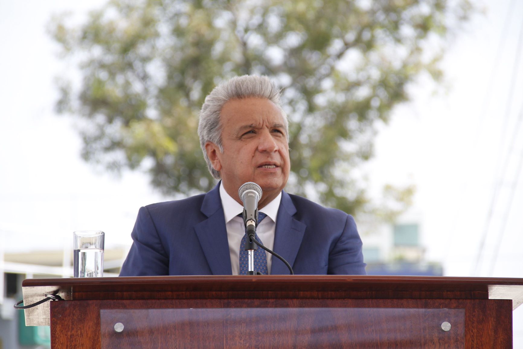 otro moreno anticipa