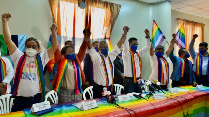 pachakutik precandidatura