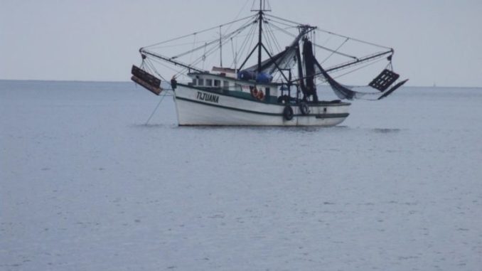 pesquero