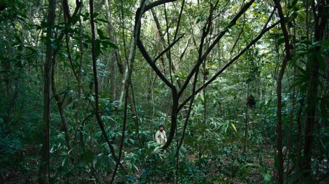 selva tragica