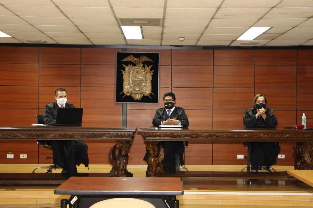 tribunal apelación