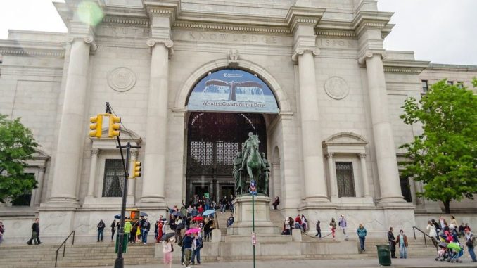 Museo de Historia Natural
