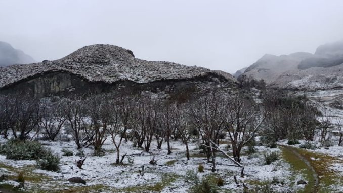 cajas nieve