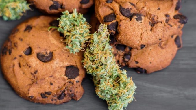 cannabis