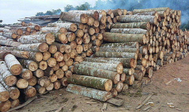 madera