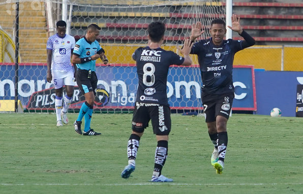 idv vs delfín