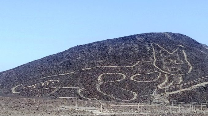 GATITO NAZCA