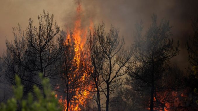 incendios