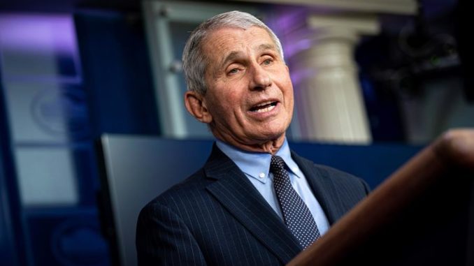 Anthony Fauci estados unidos