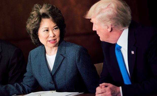 elaino-chao